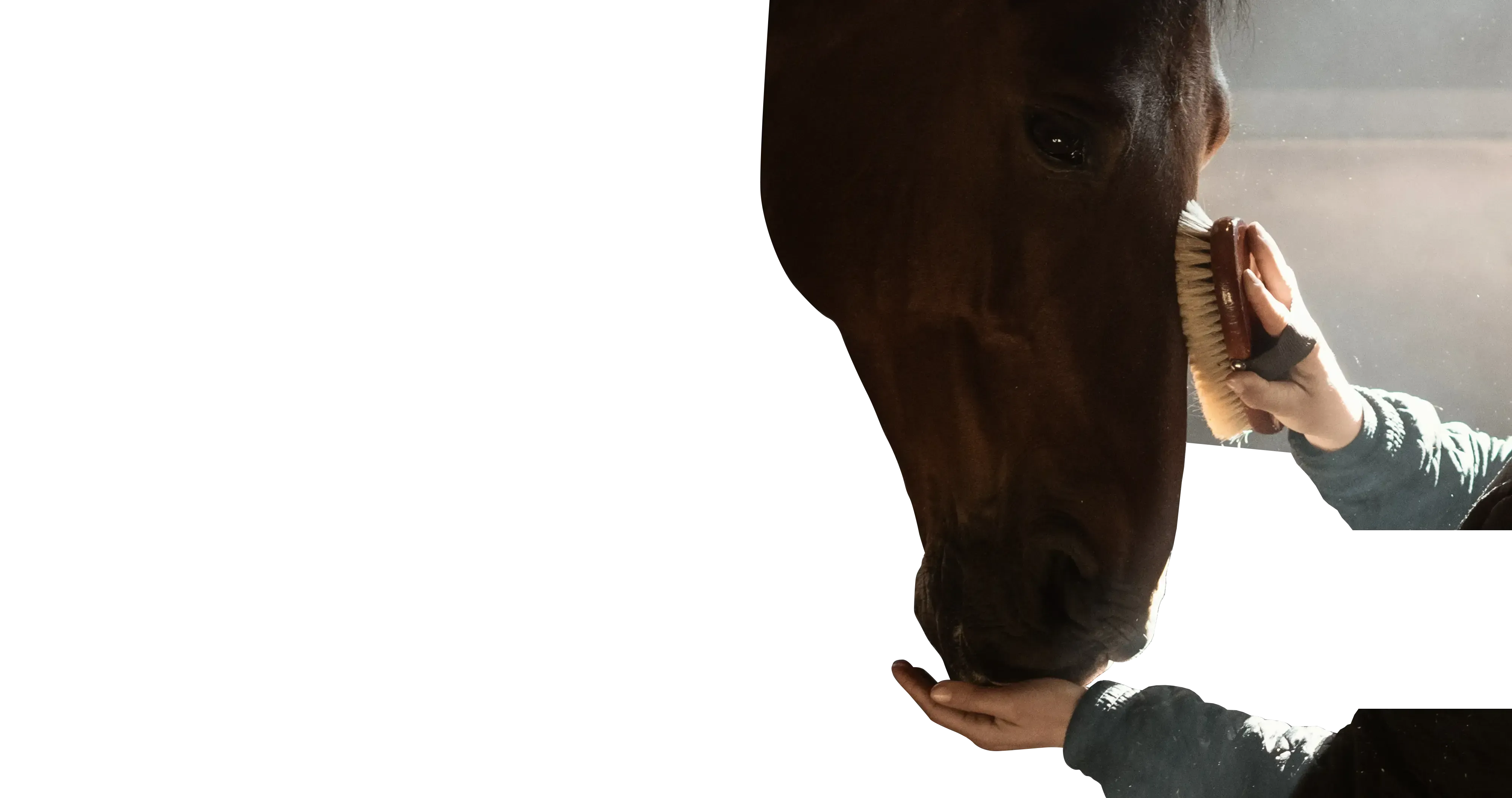 sdf